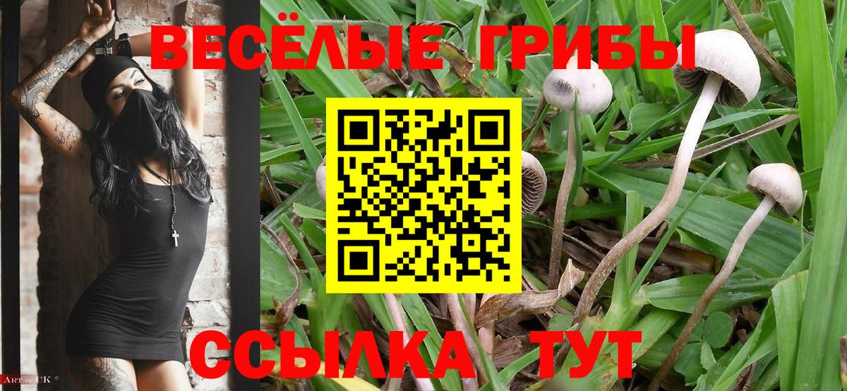 Фурманов  Псилоцибиновые грибы ЛСД  Вход с VPN 